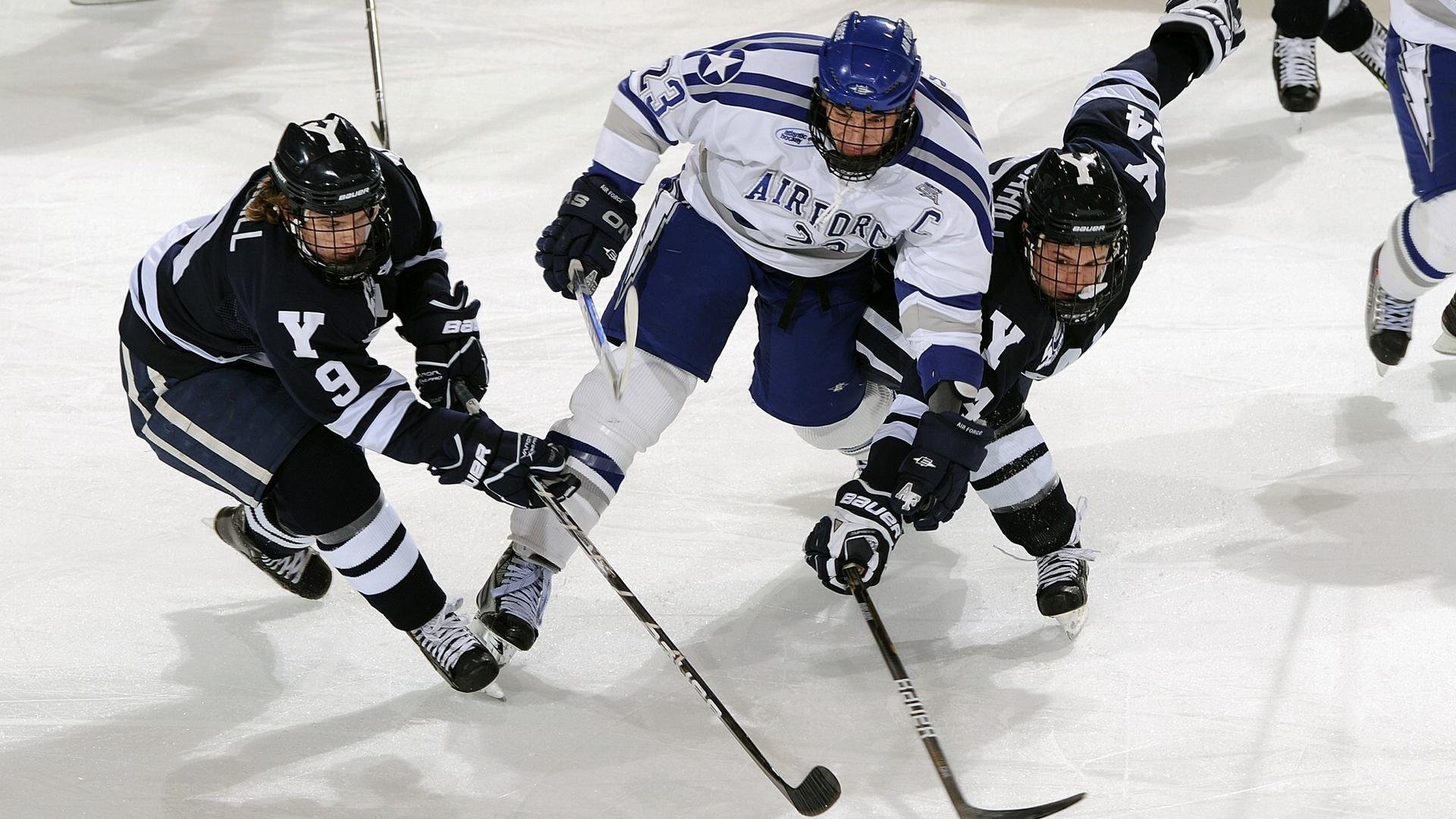 国际田联公布新赛季赛事安排，国际田联官方数据